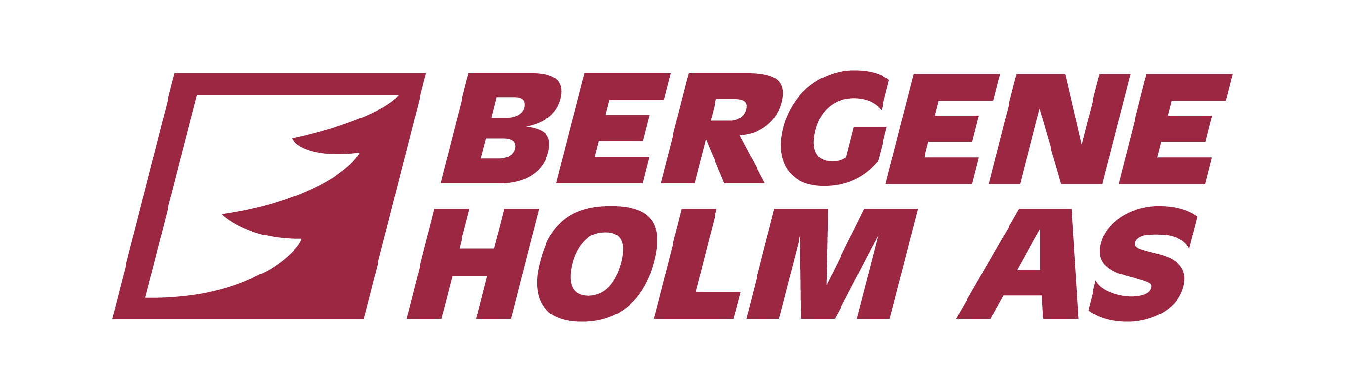 Bergene Holm